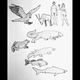 Image for article titled This awesome image may be found by aliens one day, floating in space